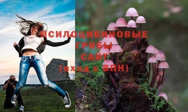 spice Кинешма