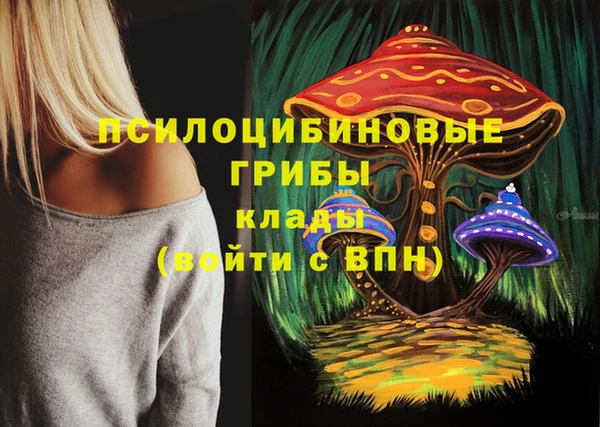 a pvp Карталы