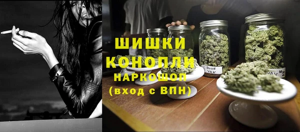 сатива Каменка